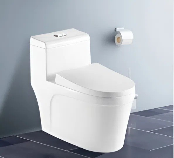 Bồn cầu liền khối Vanni VN-C004 Sứ men tuyết nano, xả xoáy kép mạnh