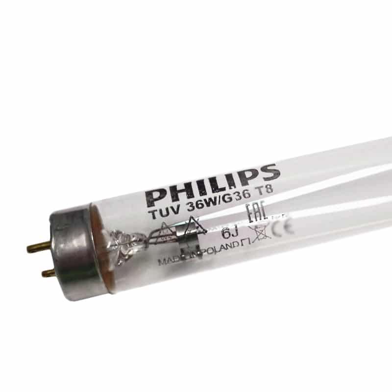 Bóng đèn tuýp diệt khuẩn Philips TUV 36W/G36 T8 1m2