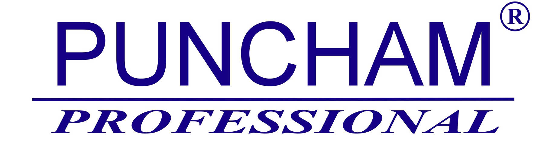 Các sản phẩm của Puncham