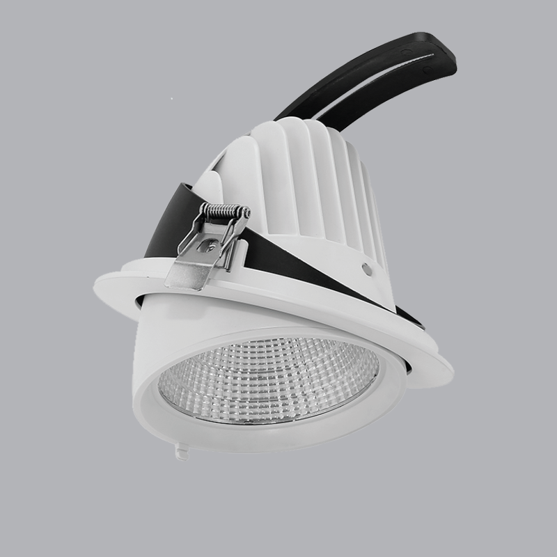 Đèn Led downlight điều chỉnh MPE 50W, 200x170mm - DLA-50N ánh sáng trung tính