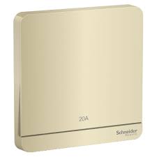 Bộ công tắc đơn 2 cực 20A Schneider E8331D20N_WG_G19, màu vàng ánh kim