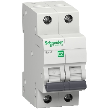 Cầu dao tự động MCB Easy9 2P 4.5kA 230V 40A C curve Schneider EZ9F34240