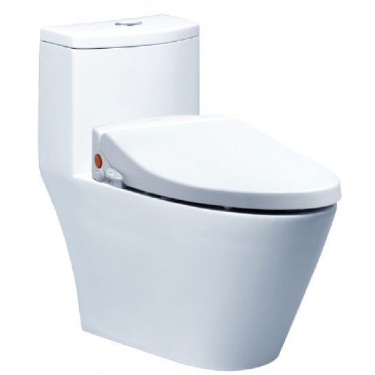 Bồn cầu kết hợp nắp cơ đa năng Caesar CD1363+TAF050