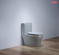 Bồn cầu liền khối Bệt R 45C xám sọc vàng