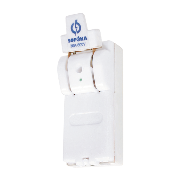 Cầu dao đế sứ cực đúc 2P 30A Sopoka D5
