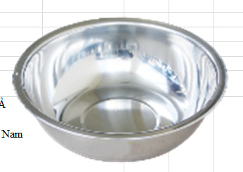 Thau inox 22cm Fivestar FST22