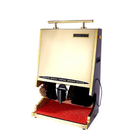 Máy đánh giày tự động 220V 50Hz L530 x W300 x H800mm