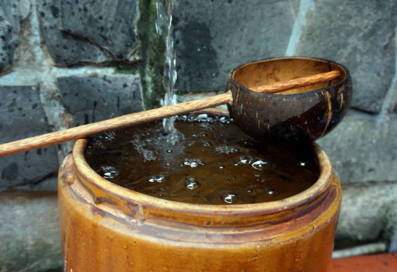 Gáo dừa múc nước